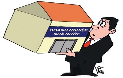 Sep lo mat quyen khi co phan hoa hinh anh