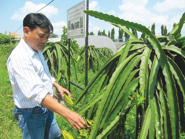 Dang sau thuong vu ban quyen thanh long 2 ty dong hinh anh