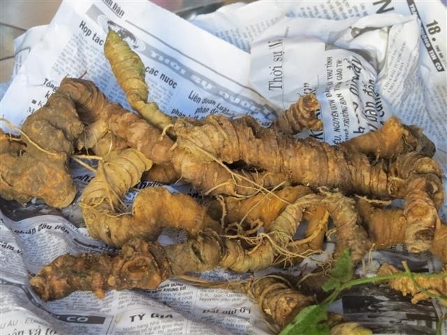 Sam Ngoc Linh lam tu... tam that Trung Quoc hinh anh