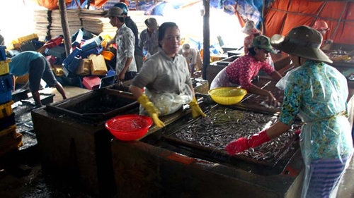 Cuoc chien nguyen lieu giua ca kho va nuoc mam Phu Quoc hinh anh