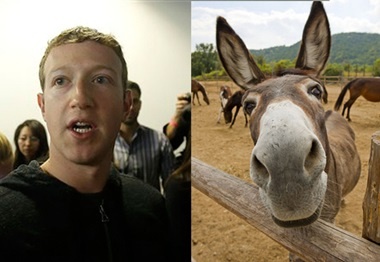 Con vat bieu trung cua 15 CEO noi tieng hinh anh