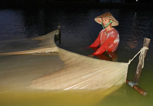 Thu tien trieu moi ngay nho trung nuoc hinh anh