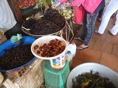 Sang Campuchia mua moi chua, nhen hum lam moi nhau hinh anh