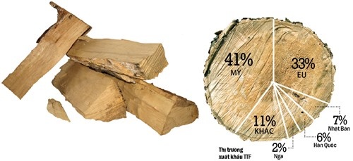 Vi sao go Truong Thanh ngap trong dong no ngan ty? hinh anh