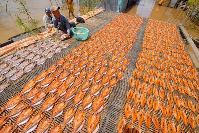 Lang kho ca dong lon nhat mien Tay ngay lu ve hinh anh