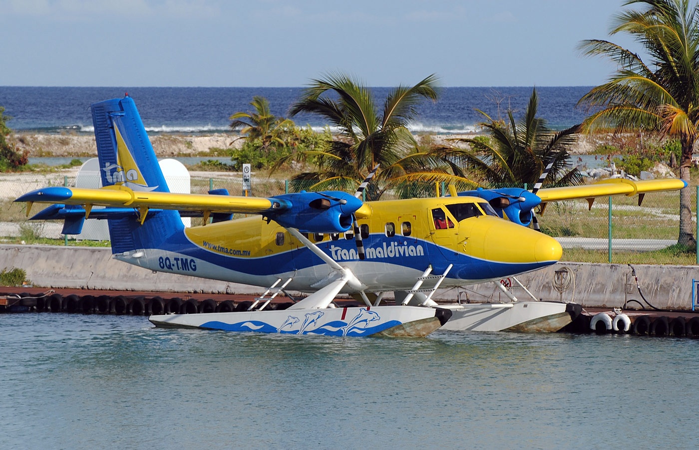 Hang hang khong co may bay ngam Vinh Ha Long sap hoat dong hinh anh