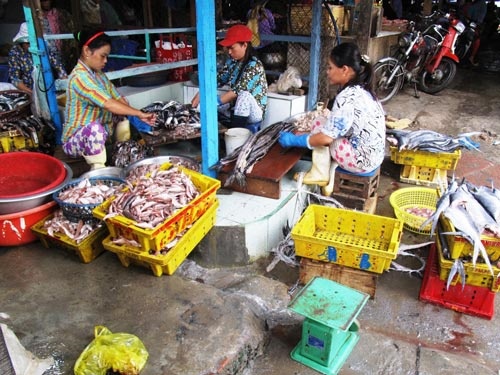 Cong nghe lam cha bang ca thoi uop hoa chat o Phu Yen hinh anh