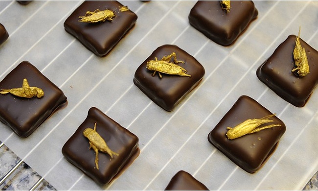 Chocolate tron con trung gia hon nua trieu dong/hop hinh anh