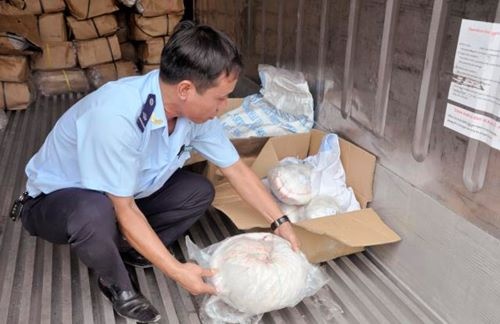 Giau gan 6 tan te te trong tau cho ca hong hinh anh