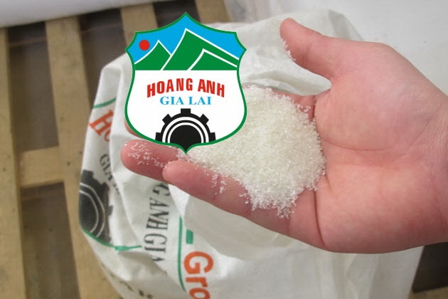 Lai tu mia duong cua Hoang Anh Gia Lai cao vi dau? hinh anh