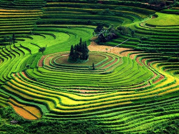 Viet Nam dep ngo ngang tren tap chi noi tieng the gioi hinh anh