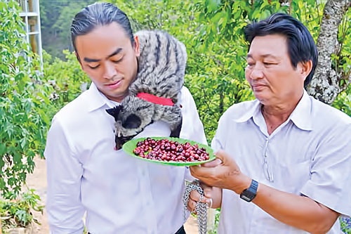 Ca phe chon gia nghin do o Da Lat hinh anh