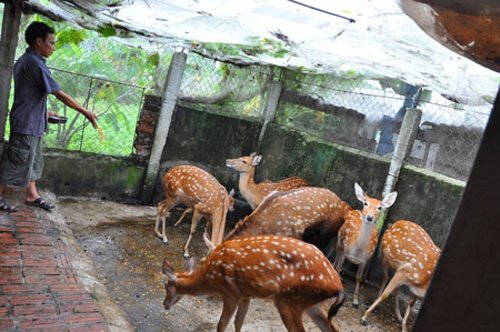 Thu 200 trieu dong/nam tu trang trai huou hinh anh