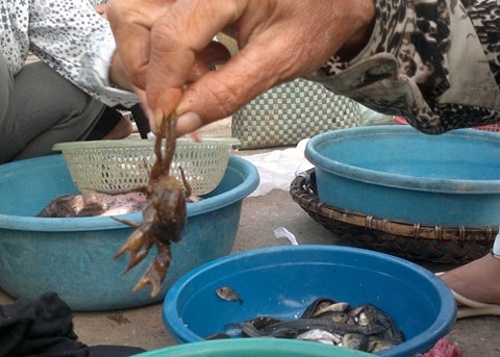 Chieu tro kinh doanh cua dong bang bun dat, hoa chat hinh anh