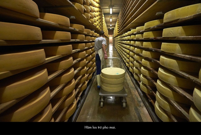 Pho mai ngon nhat the gioi duoc san xuat nhu the nao? hinh anh