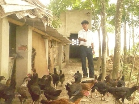 Thu tien ty moi nam tu mo hinh VAC hinh anh