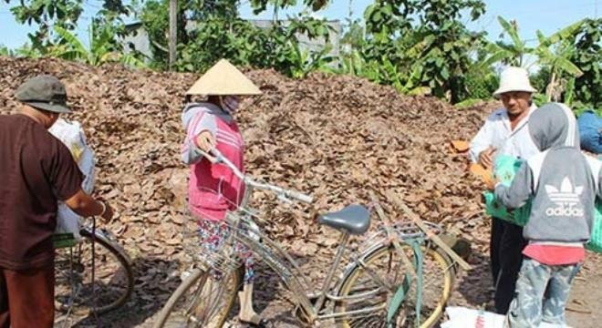 Nhung kieu thu mua nong san bat thuong cua thuong lai ngoai hinh anh