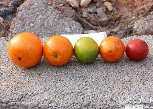 Cam Trung Quoc nhuom pham mau gay ung thu hinh anh