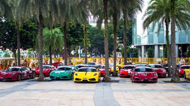 Rung sieu xe khoe sac tai dao quoc Su tu hinh anh