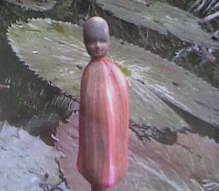 Ky la 'dau nguoi' moc tren hoa sung hinh anh