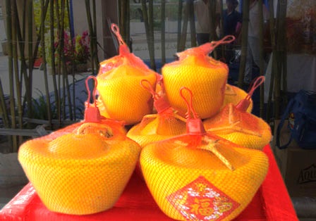 500 cap dua hau thoi vang ban tet hinh anh