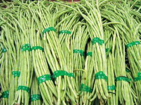 Dau dua bi dau doc nhieu nhat trong cac loai rau cu hinh anh