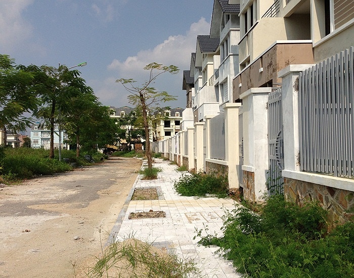 Can canh du an 'khung' cua Nam Cuong de tha...trau, bo hinh anh