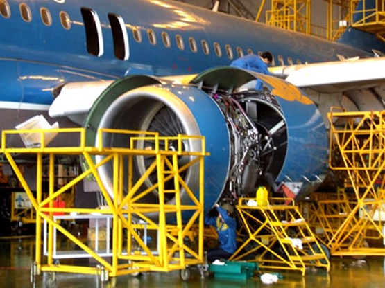 Nhan vien Vietnam Airlines keu cuu hinh anh