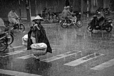 Ganh khoai lang Viet gay xuc dong the gioi hinh anh