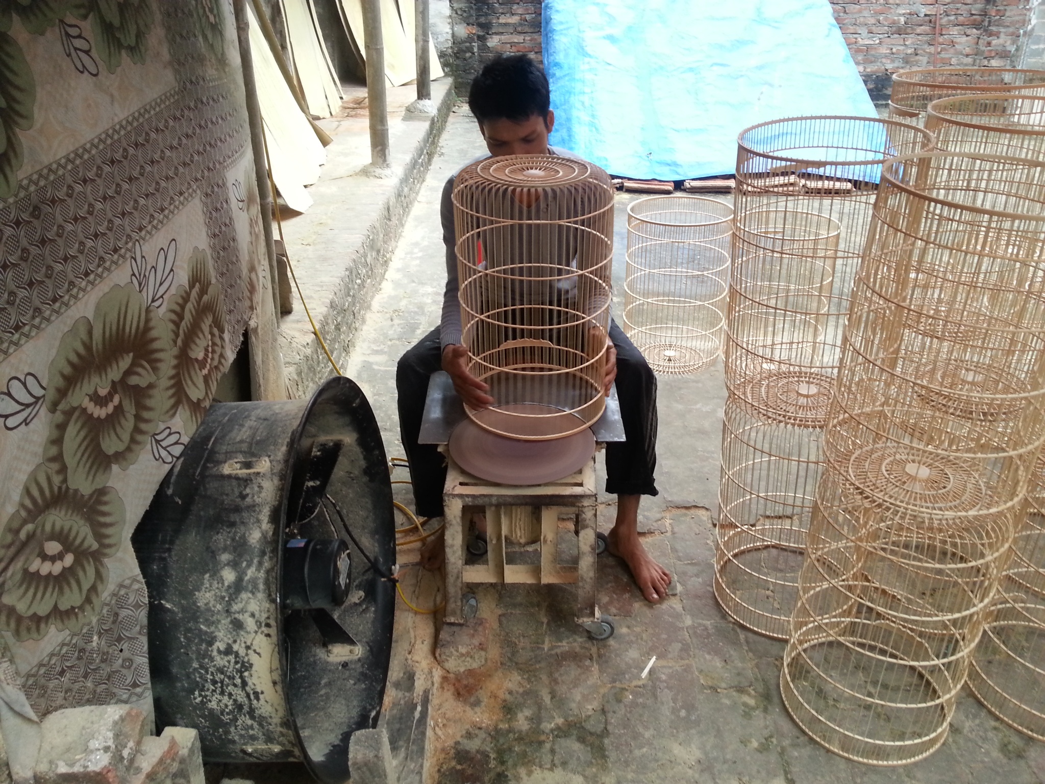 That nghiep, lam long chim kiem 20 trieu dong/thang hinh anh