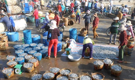 Ngu dan 'kiem' 1,5 trieu/dem nho trung dam mua ca com Than hinh anh