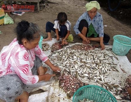 Tap nap mua ca, mua mam mien Tay hinh anh