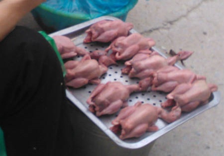 Bo cau non sieu re gia 10.000 dong/con tai Ha Noi hinh anh