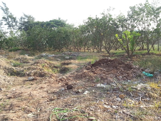 Dan buoi Dien thi nhau pha vuon lay dat lam nha tro hinh anh