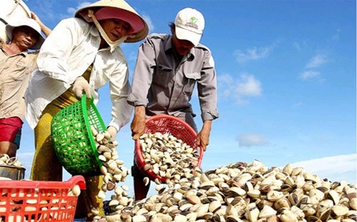 Vi sao nha bang 'chan' doanh nghiep thuy san? hinh anh