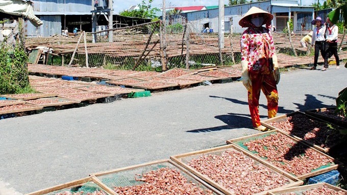 Doanh nghiep nuoc ngoai thue dat 'lui' hinh anh