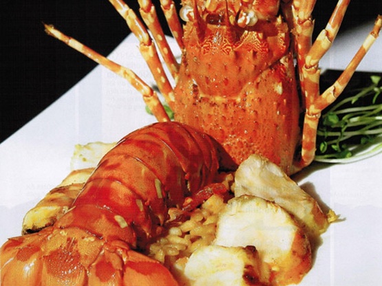 Tom hum va... ta lot hinh anh