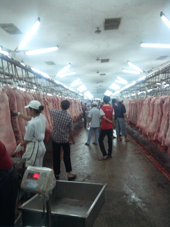 Can canh ‘san’ giao dich thit heo lon nhat Sai Gon hinh anh