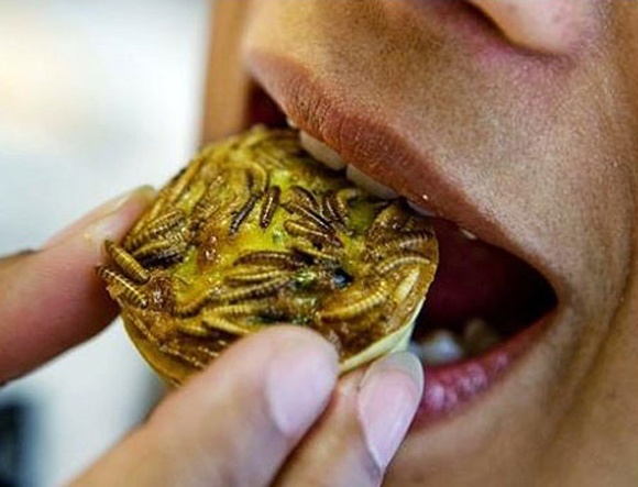 Bua tiec con trung ky di hinh anh