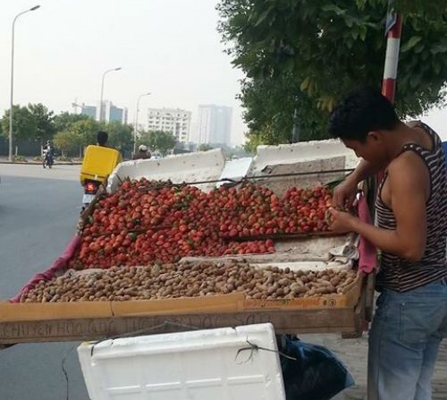 Dau tay Trung Quoc mac Da Lat tran ngap Ha Noi hinh anh