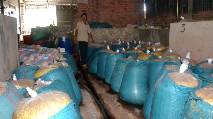 Khon don voi mang nghi nhiem chat doc hinh anh