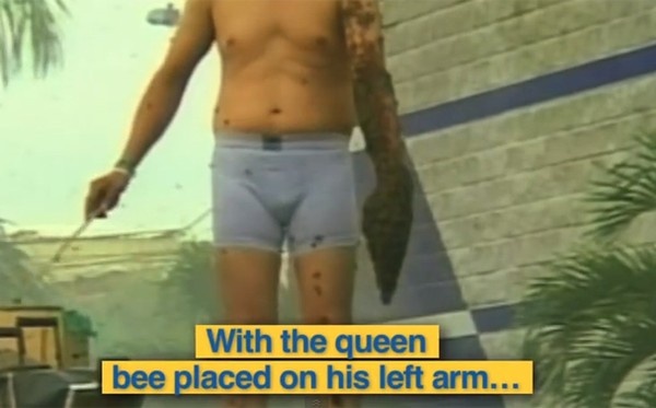 500.000 con ong bam chat co the hinh anh