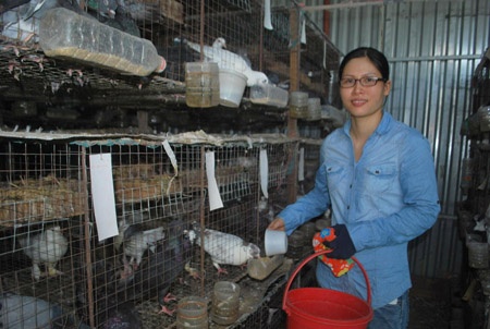 Thu 100 trieu dong/thang tu nuoi bo cau hinh anh