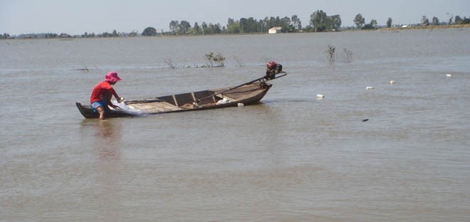 Lu rut, nong dan 'hot' ca me vinh hinh anh