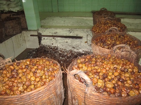 Su that dang sau thi truong mut Tet hinh anh