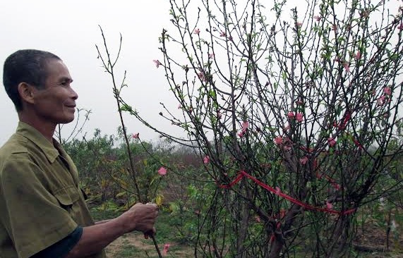 Nguoi Ha Noi san dao no som choi truoc Tet hinh anh