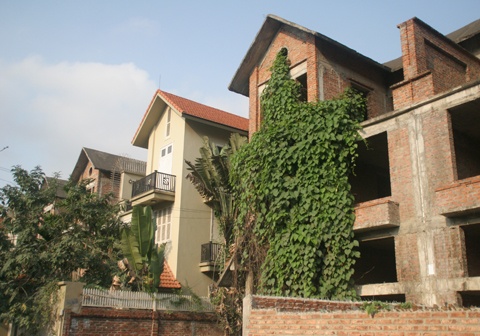 Dai gia pha san dat ve biet thu hoang hinh anh