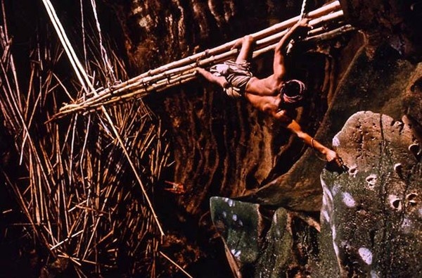 Danh sach 77 cong viec cam phu nu Viet lam hinh anh