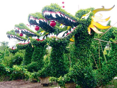 Xuat khau kieng thu sang Singapore, Uc hinh anh