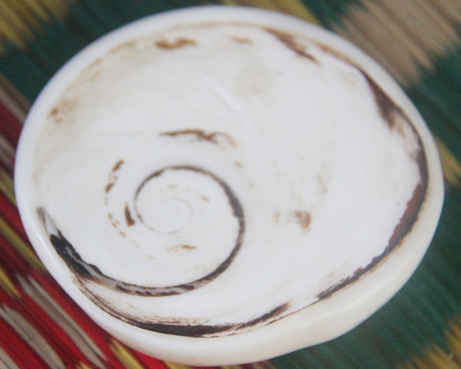 Vo oc xa cu co gia hang chuc trieu dong o Ly Son hinh anh